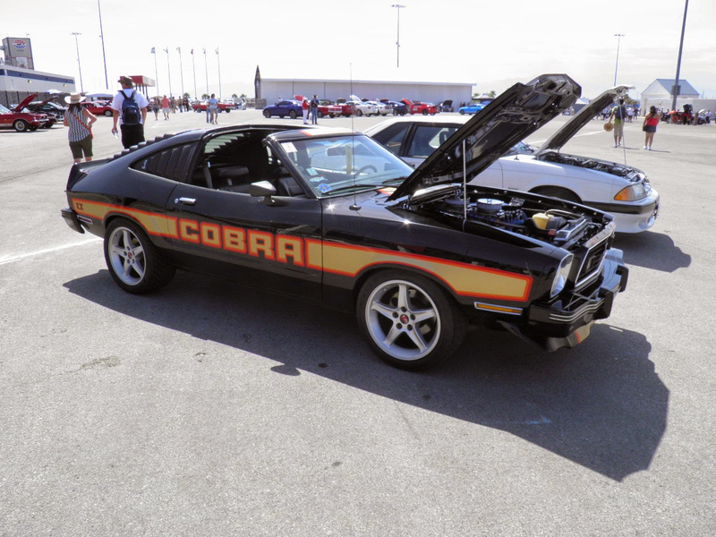 Illustration for article titled Tribute to the father of the Mustang (Pic Heavy)